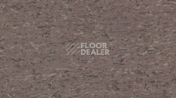 Линолеум Gerflor Mipolam Accord 0344 OSPEDAL фото 1 | FLOORDEALER
